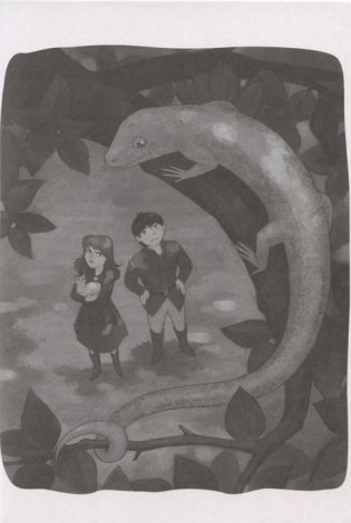 Секрет для дракона фото книги 6