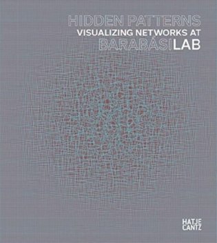 Hidden Patterns. Visualizing Networks at BarabasiLab фото книги