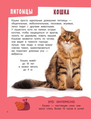 Главная книга о животных фото книги 3