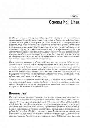 Изучаем Kali Linux. Проверка защиты, тестирование на проникновение, этичный хакинг. 2-е изд. фото книги 11
