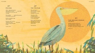 Tiger, Tiger, Burning Bright! An Animal Poem for Every Day of the Year фото книги 6