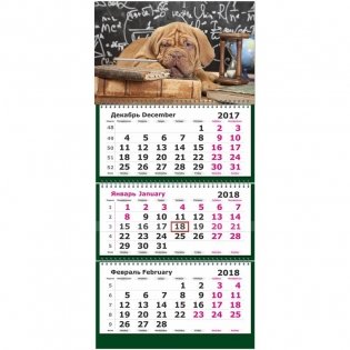 Календарь настенный, трехблочный на 2018 год "Символ года Ученый пес", 305х675 мм фото книги