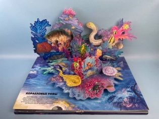 Тайны подводного мира фото книги 3