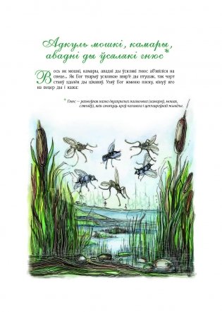 Чаму муха ва ўсе бакі бачыць фото книги 11