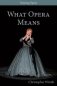 What Opera Means фото книги маленькое 2