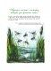 Чаму муха ва ўсе бакі бачыць фото книги маленькое 12