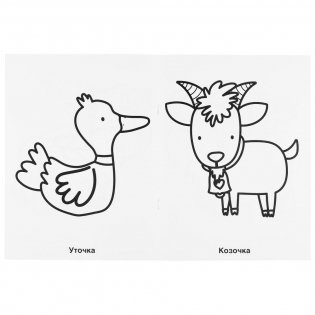 Домашние животные. Раскраска для детского сада фото книги 3