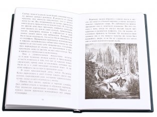 Сказки на русском и французском языках фото книги 2