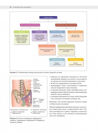 Анатомия йоги: раскраска. Изучите форму и биомеханику более чем 50 асан фото книги 8