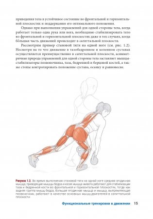 Анатомия функциональных тренировок фото книги 13