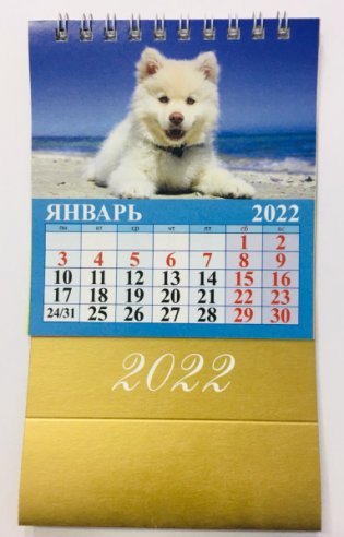 Забавные щенки. Календарь настольный перекидной "Домик" на 2022 год фото книги 2
