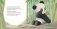 Малыш-панда потерялся фото книги маленькое 8