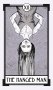 Christina Ricci's Cat Full of Spiders Tarot Deck and Guidebook фото книги маленькое 9