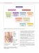 Анатомия йоги: раскраска. Изучите форму и биомеханику более чем 50 асан фото книги маленькое 9