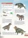Тайны динозавров. Самая невероятная энциклопедия фото книги маленькое 19
