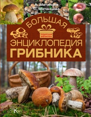 Большая энциклопедия грибника фото книги