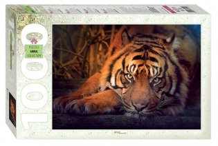 Пазл "Сибирский тигр", 1000 элементов фото книги