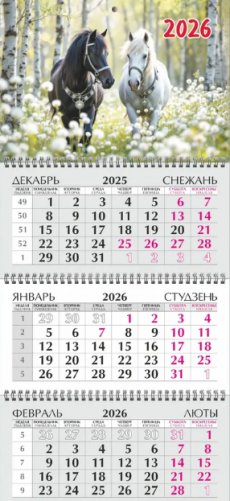 Квартальный календарь 2026 г. фото книги