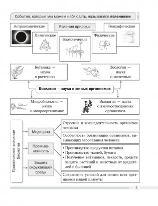 Биология. 6 класс. Опорные конспекты, схемы и таблицы. ГРИФ фото книги 3