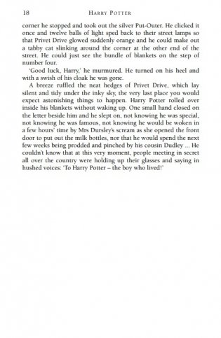 Harry Potter and the Philosopher's Stone фото книги 13