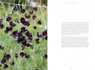 Sweet Pea School: Growing & Arranging the Garden’s Most Romantic Blooms фото книги 10