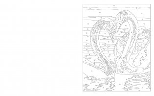 Large print colour by numbers birds фото книги 3