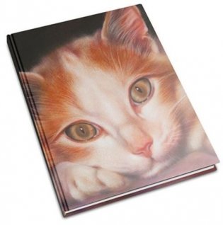 Записная книжка "Кошка №2" (А6) фото книги