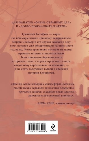Тайна Блэкфолса фото книги 3