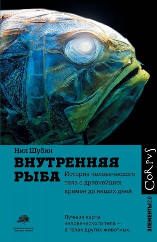 Внутренняя рыба фото книги