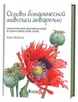 Основы ботанической живописи акварелью. Практические рекомендации и пошаговые описания фото книги
