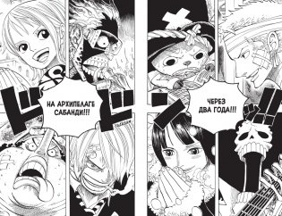 One Piece. Большой куш. Книга 21. На заре приключений : Новый Свет фото книги 3