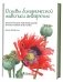 Основы ботанической живописи акварелью. Практические рекомендации и пошаговые описания фото книги маленькое 2