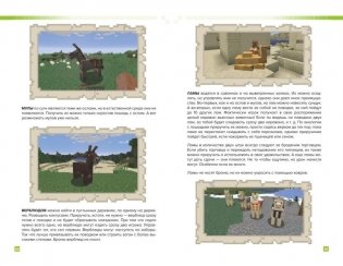 Как выжить в MINECRAFT. Полный гайд по режиму выживания от EugenBro фото книги 8