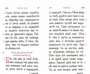 Псалтирь Давида пророка и Царя песнь (на церковнославянском языке) фото книги 3