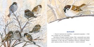 Птицы за окном фото книги 5