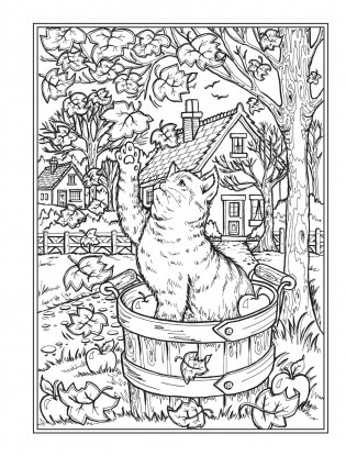 Creative haven autumn harvest coloring book фото книги 7