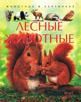 Лесные животные фото книги