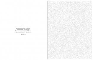 Mystery Coloring Wild Animals фото книги 4