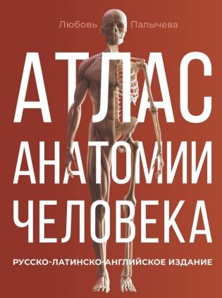 Атлас анатомии человека. Русско-латинско-английское издание фото книги