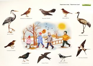 Человек и мир. 1-3 классы. Дидактический материал. Учебное наглядное пособие / Чалавек і свет. 1-3 класы. Дыдактычны матэрыял. Вучэбны наглядны дапаможнік.  ГРИФ фото книги 2