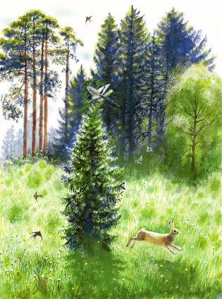 Сказочная новогодняя книга фото книги 11