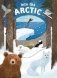 Into the Arctic фото книги маленькое 2