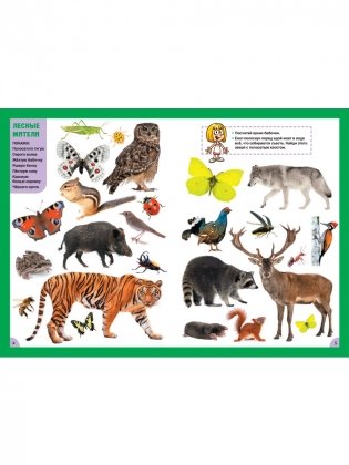 Животные. Для детей от 3 до 6 лет фото книги 3