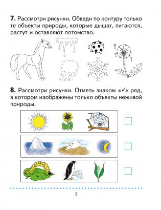 Человек и мир. 1 класс. Практикум фото книги 5