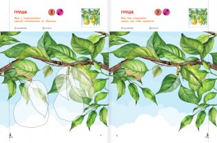 Вырезай и клей. Овощи и фрукты фото книги 4