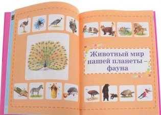 Первая энциклопедия для девочек фото книги 3