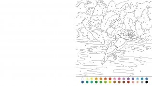 Animal colour by numbers фото книги 4