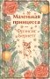 Маленькая принцесса. Маленький лорд Фаунтлерой (с иллюстрациями) фото книги маленькое 2