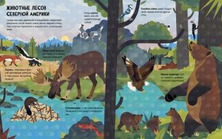 Животные. Энциклопедия с окошками фото книги 2