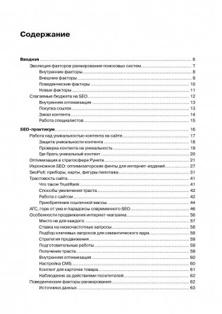 Раскрутка: секреты эффективного продвижения сайтов фото книги 2